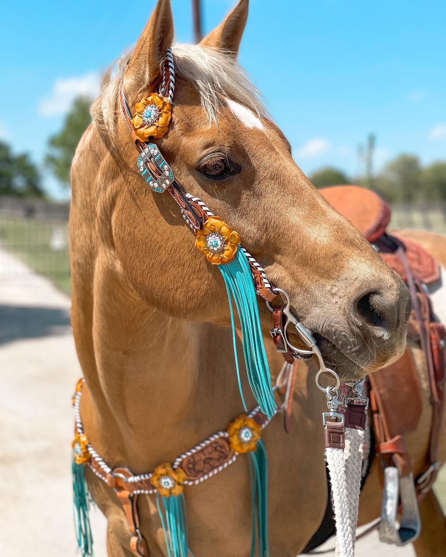 Yellow and Turquoise Browband/One Ear Headstall & Breastcollar Tack Set #OEBC411 — view 3