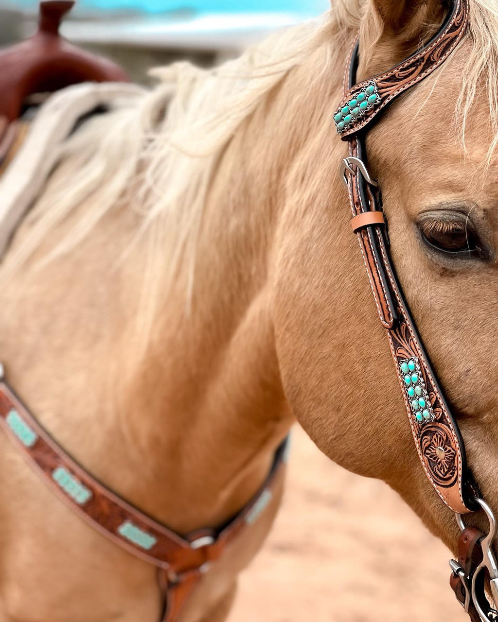Light Oil Buckaroo Roper Turquoise One Ear & Breastcollar Tack Set #OEBC446 — view 2