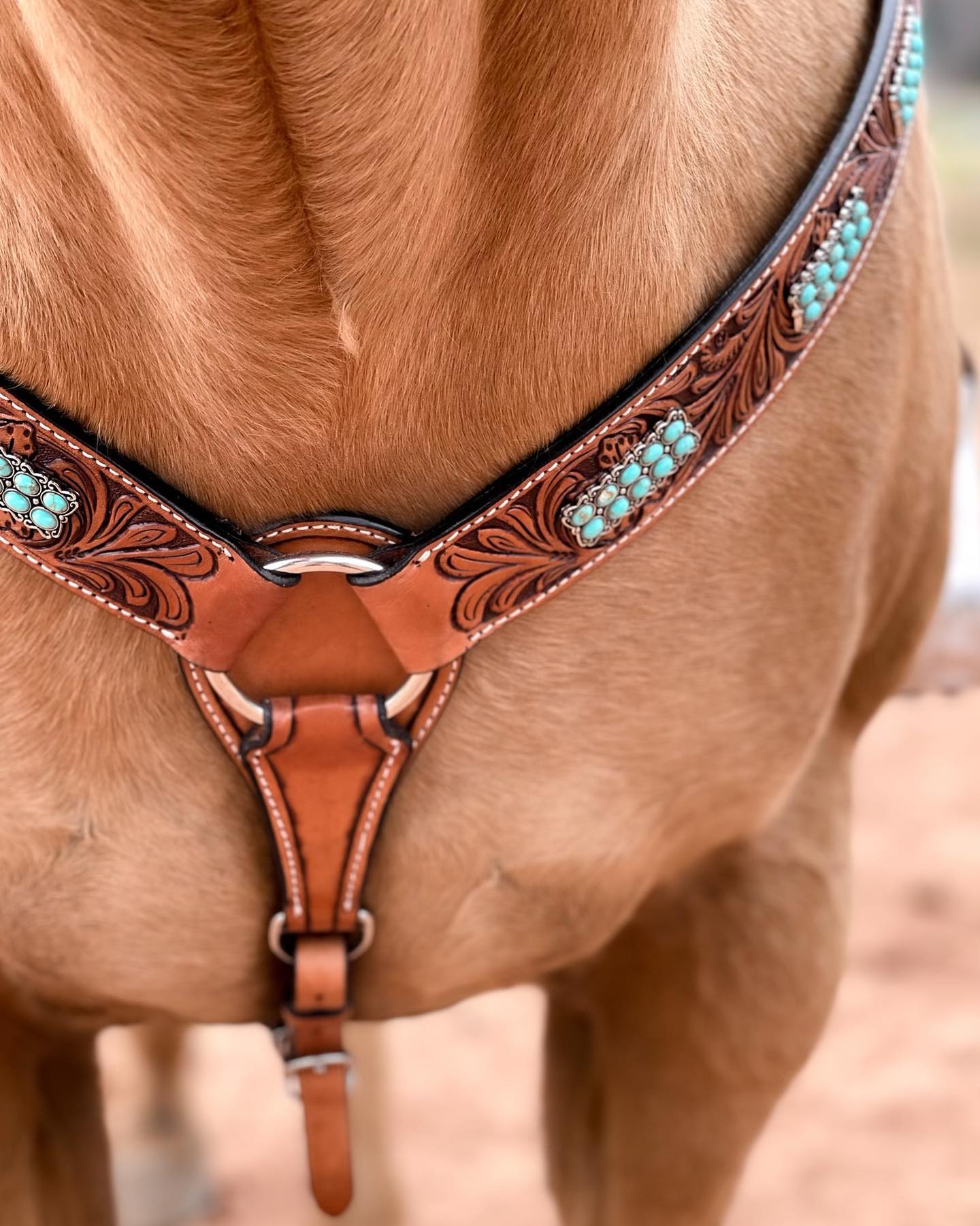 Light Oil Buckaroo Roper Turquoise One Ear & Breastcollar Tack Set #OEBC446 — view 3