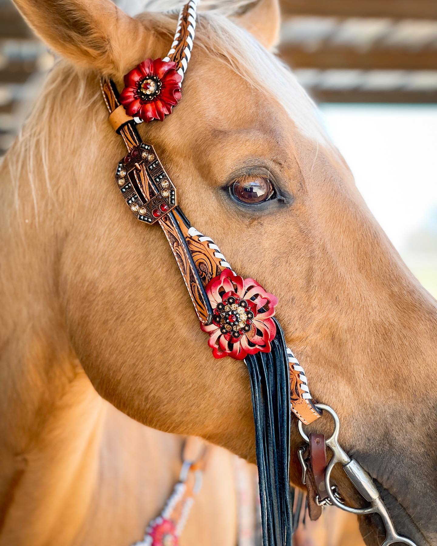 Light Oil Whipstitch Black and Red One Ear & Breastcollar Tack Set #OEBC460 — view 2
