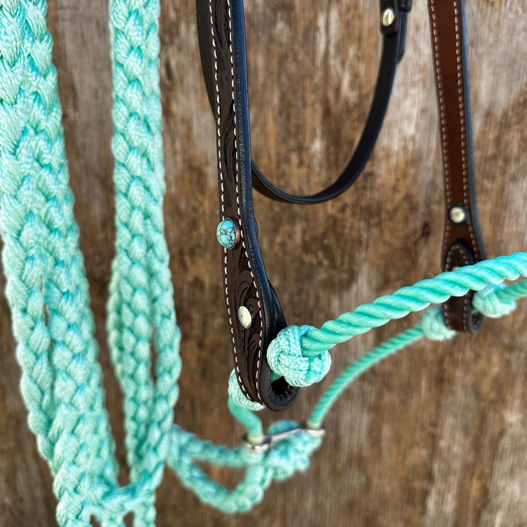 Black V-Brow Turquoise Loping Hackamore #LHK104 — view 3