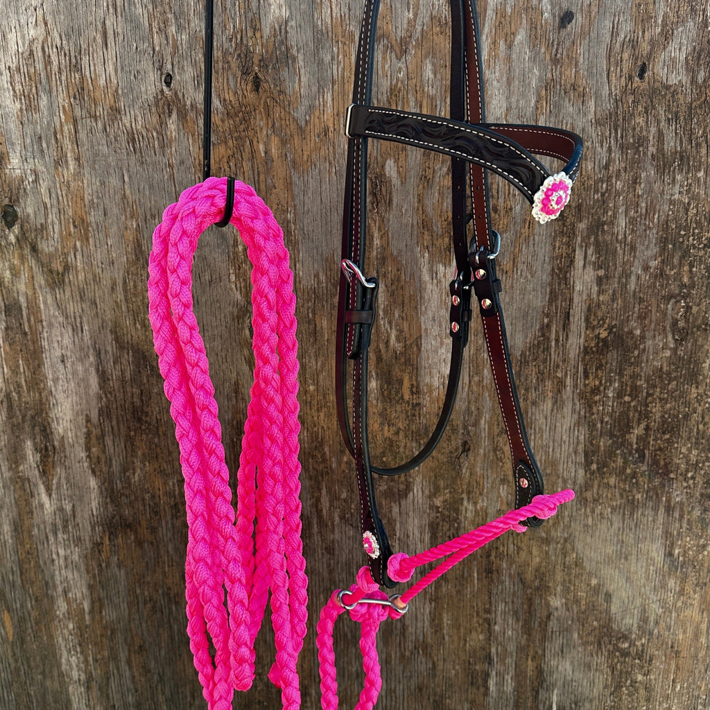 Black V-Brow Neon Pink Loping Hackamore #LHK101