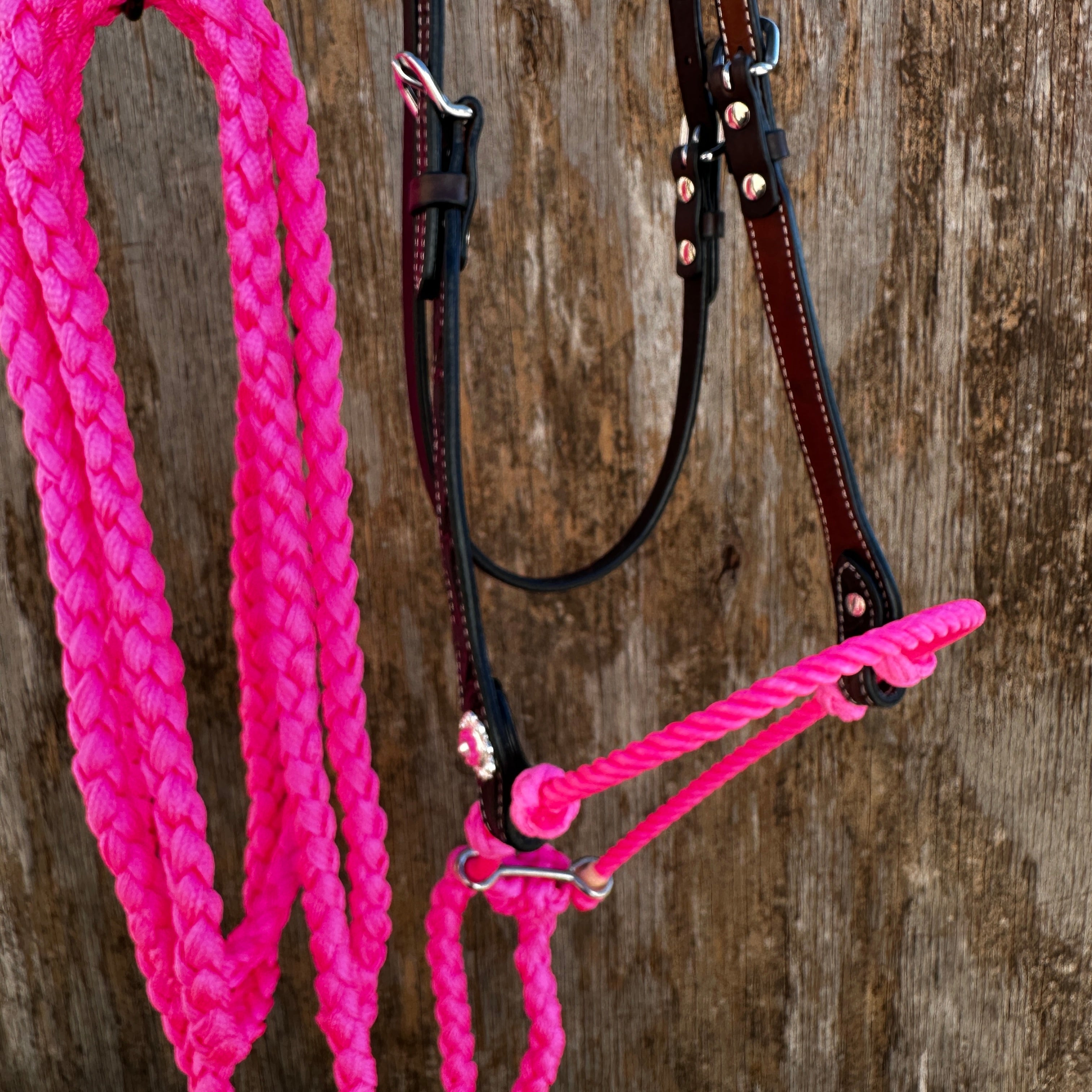 Black V-Brow Neon Pink Loping Hackamore #LHK101 — view 4