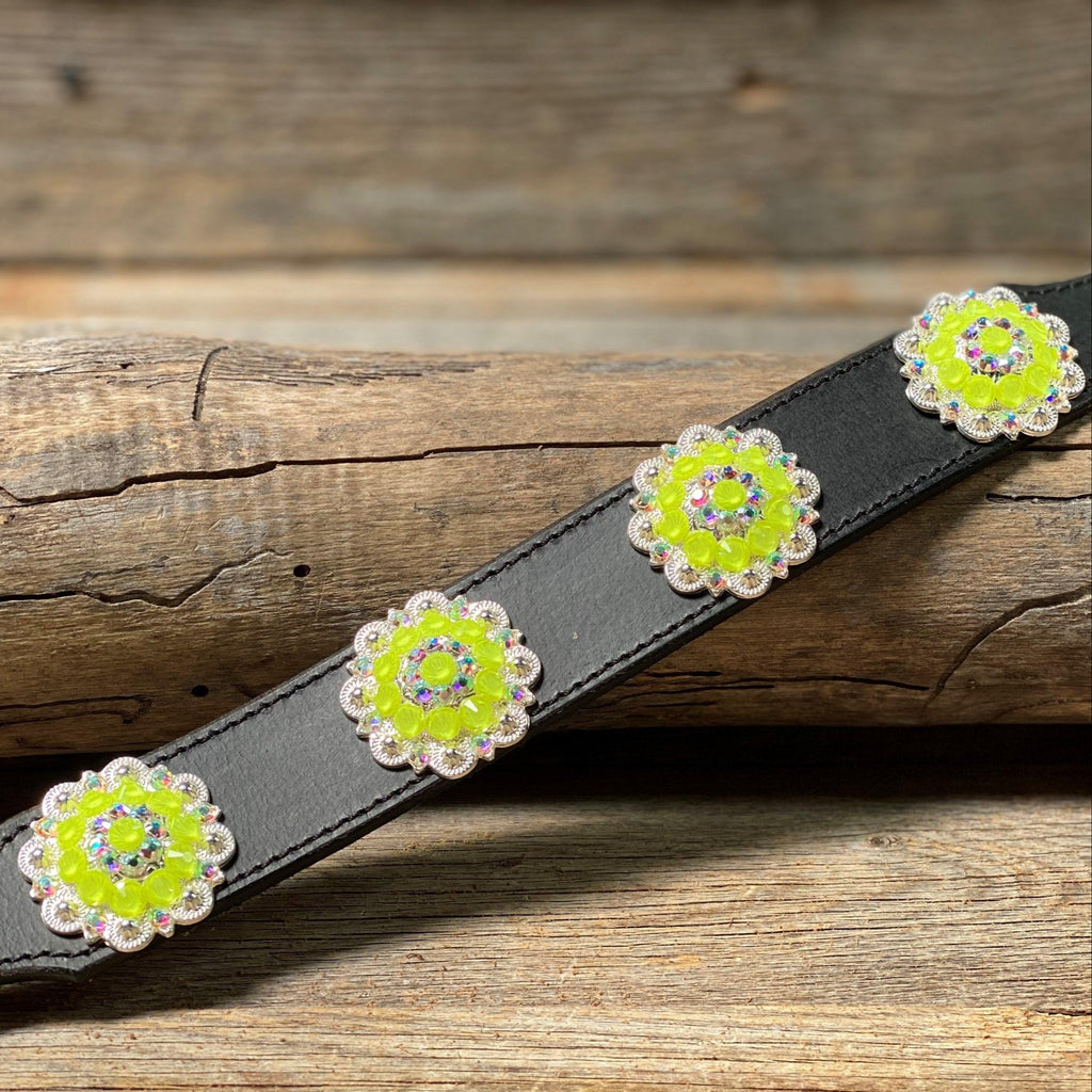 DC18- Neon Concho Dog Collar — view 9