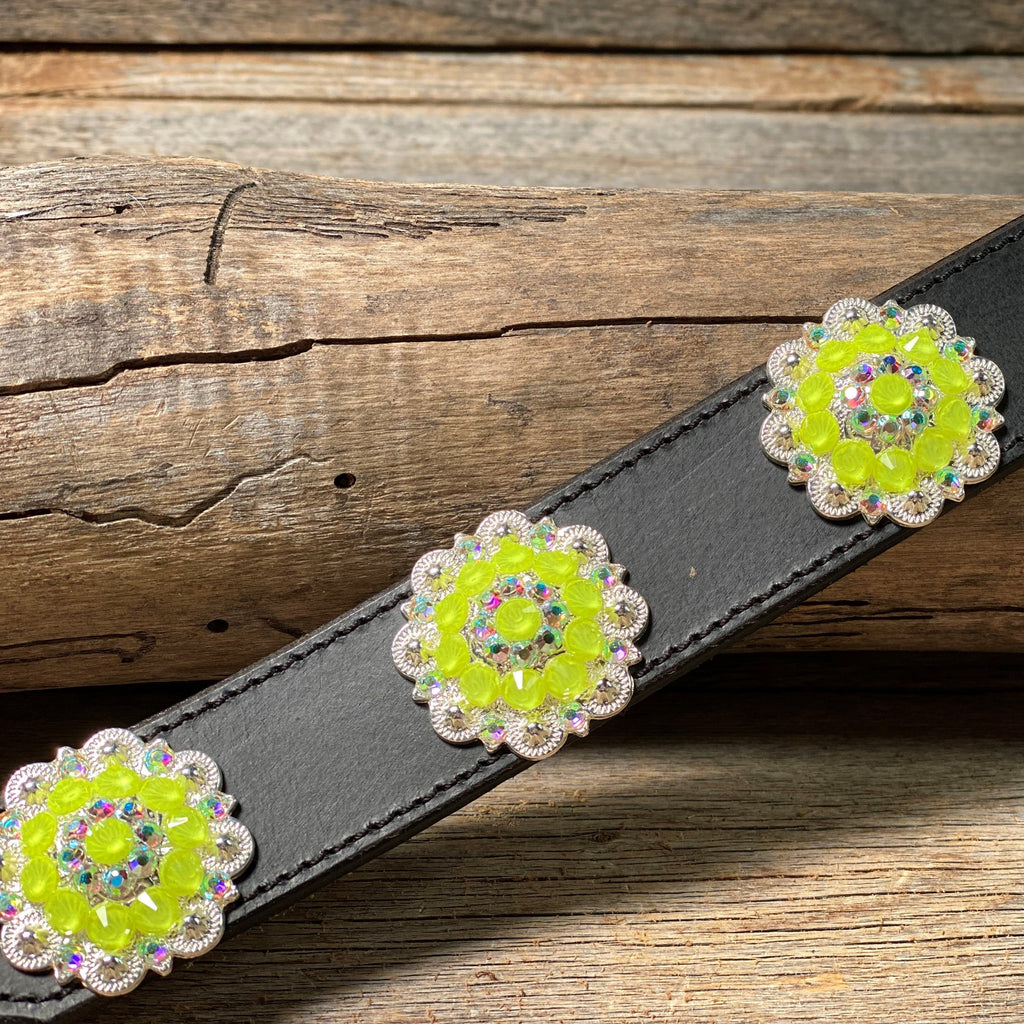 DC18- Neon Concho Dog Collar — view 10