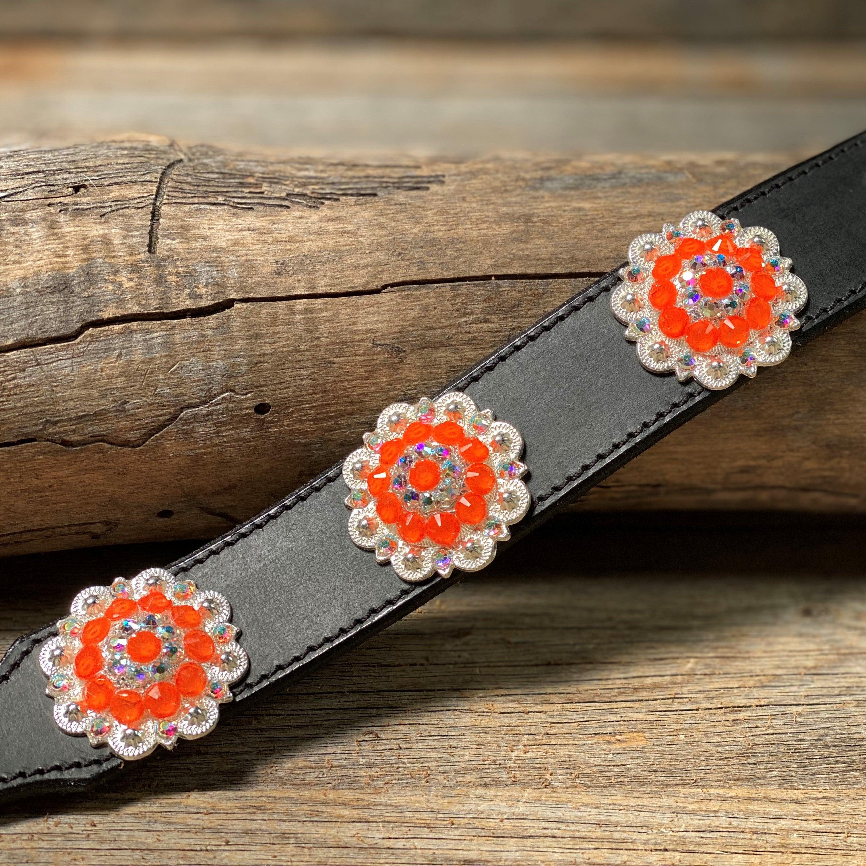 DC18- Neon Concho Dog Collar — view 8