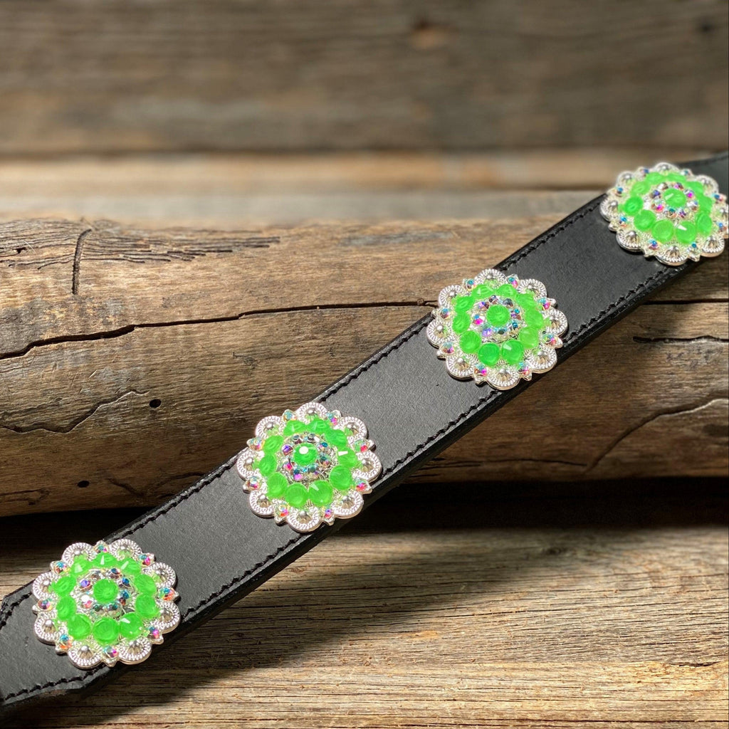 DC18- Neon Concho Dog Collar — view 3