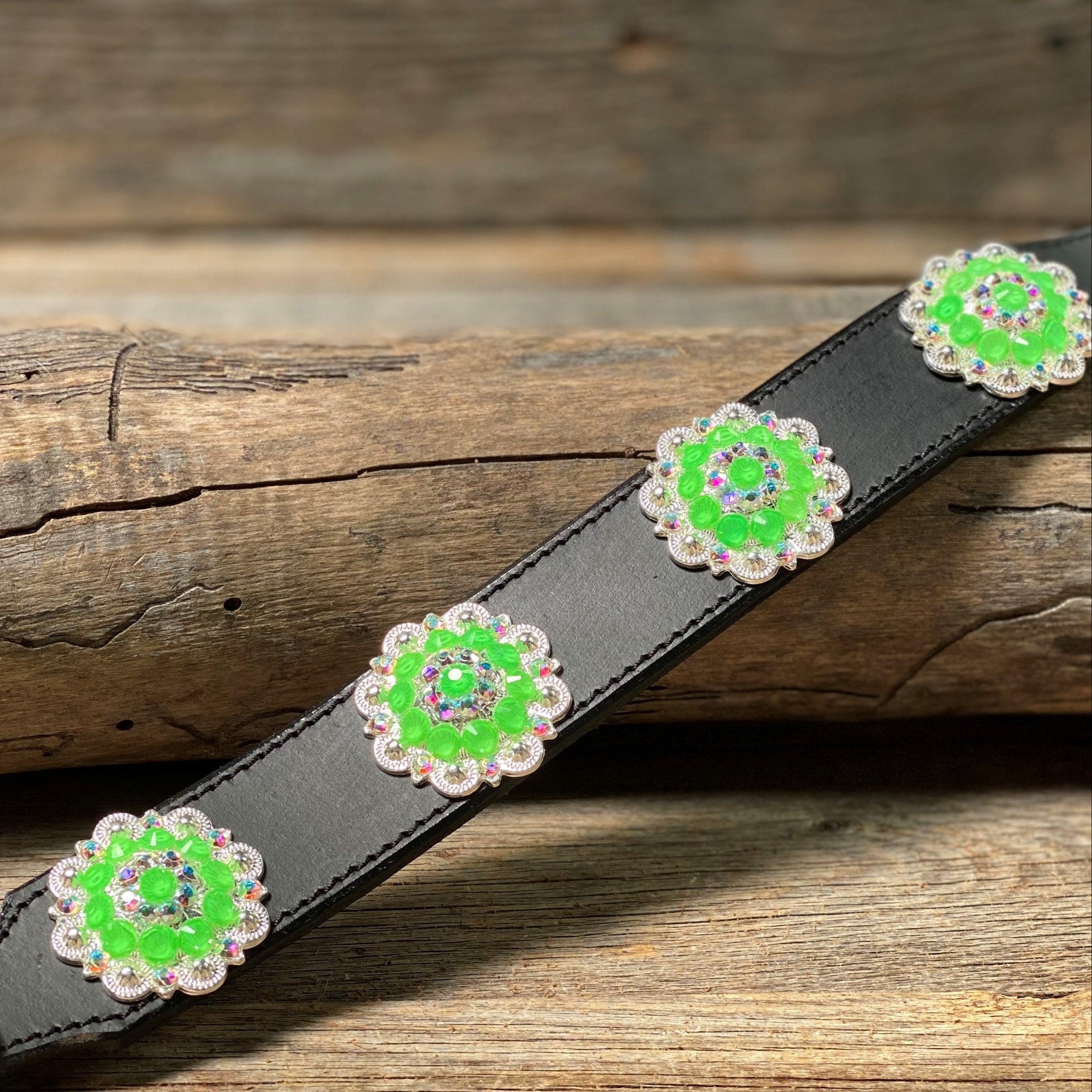 DC18- Neon Concho Dog Collar — view 3