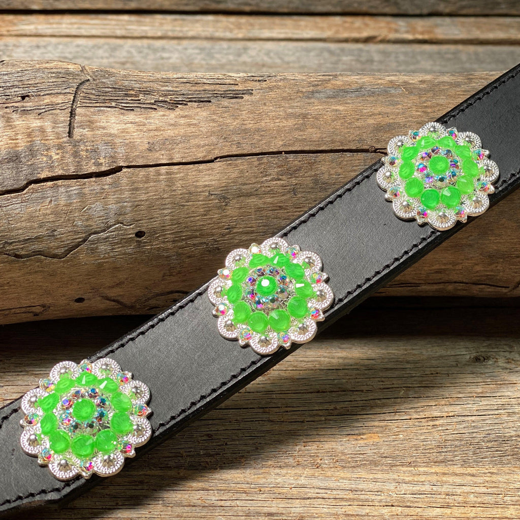 DC18- Neon Concho Dog Collar — view 4