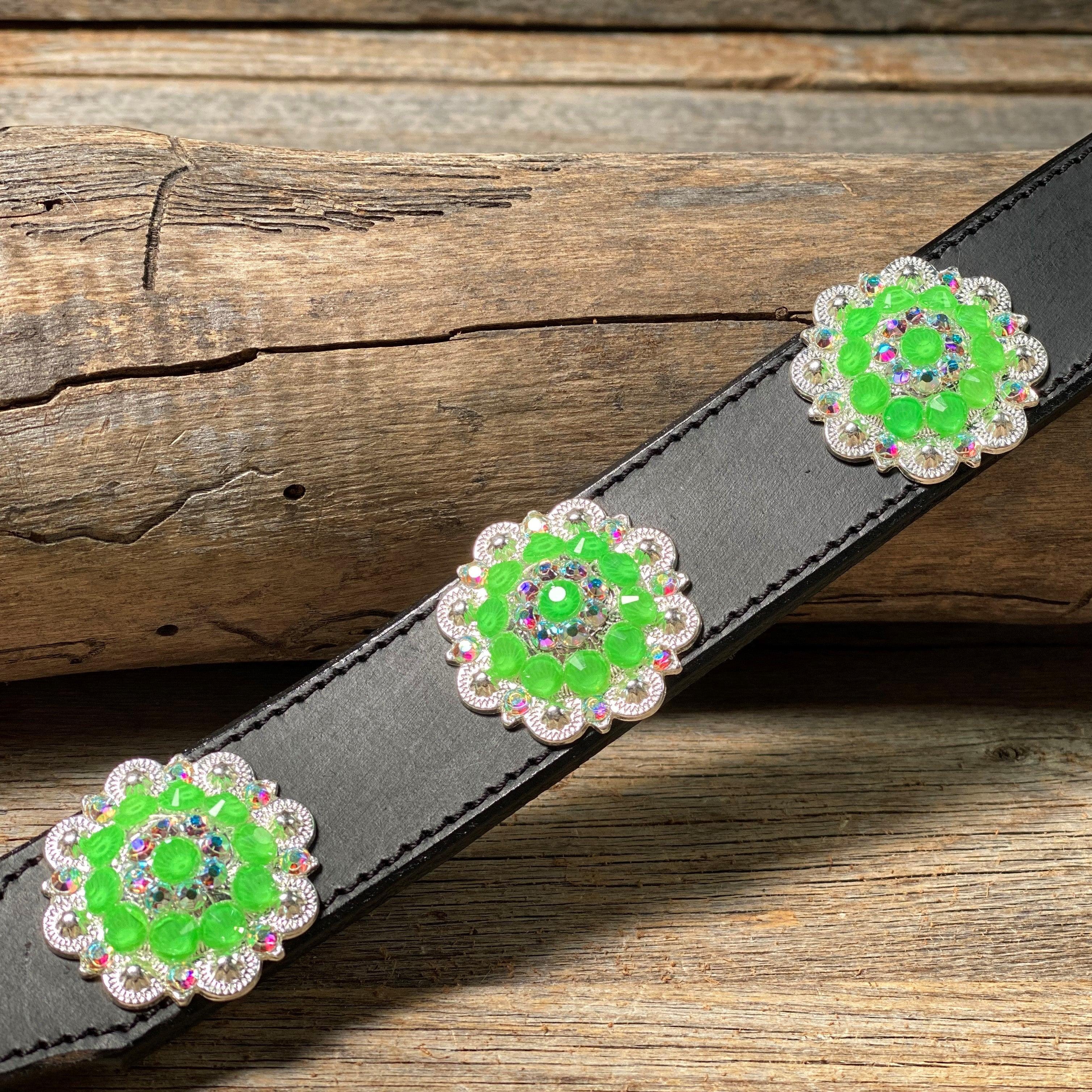 DC18- Neon Concho Dog Collar — view 4