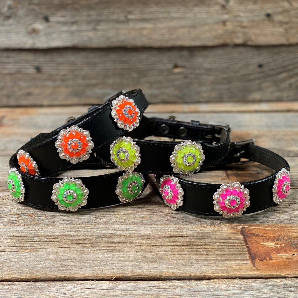 DC18- Neon Concho Dog Collar — view 2
