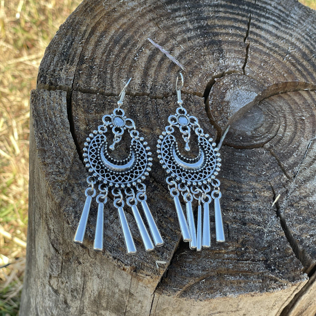 Silver Dangle Fashion Earrings WA177