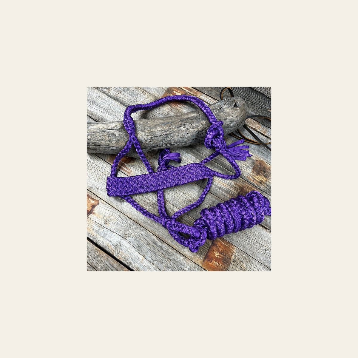 Purple Flat Braided Mule Tape Halter on a warm cream background