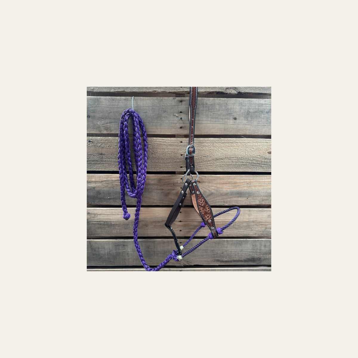 Purple Flower Power Tooled Lariat & Leather Combo Halter on a warm cream background