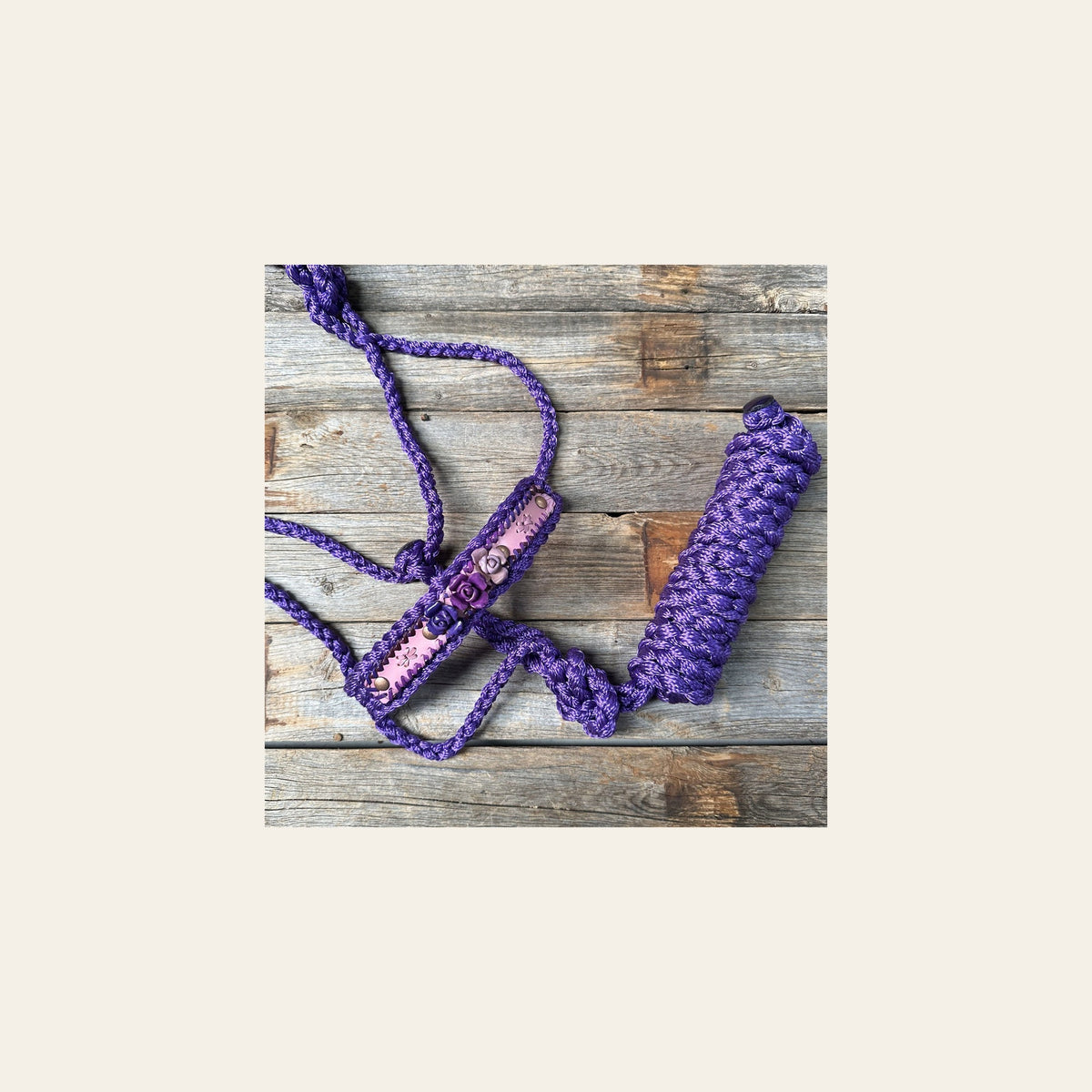 Purple Mule Tape Halter - Purple Roses #MT222 on a warm cream background