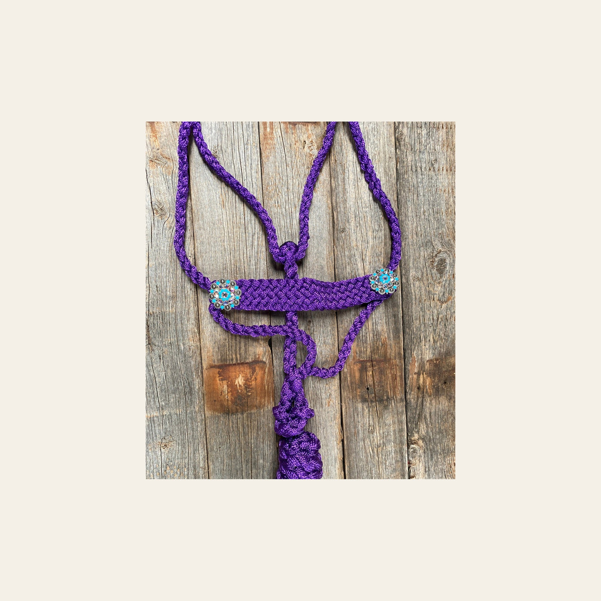 Purple Mule Tape Halter - Turquoise #MT107 on a warm cream background