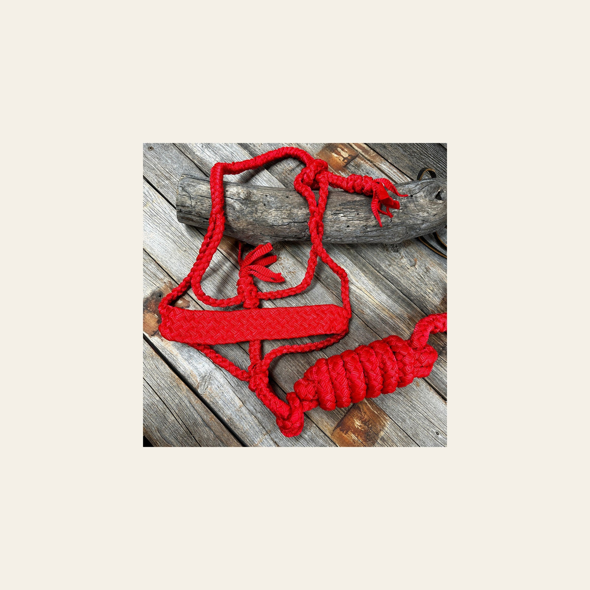 Red Flat Braided Mule Tape Halter on a warm cream background