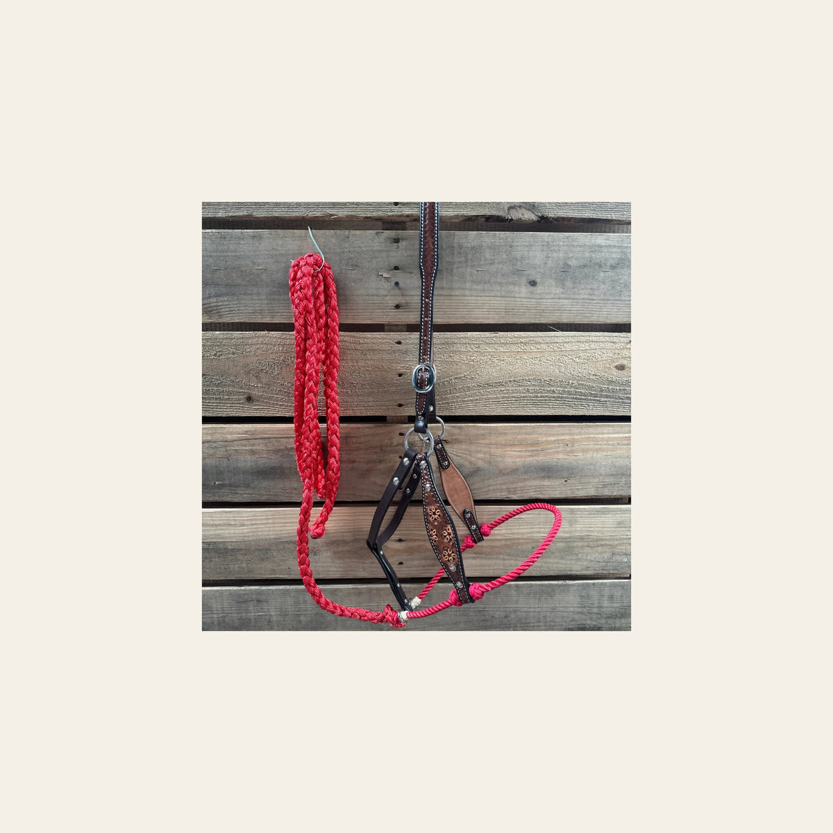 Red Flower Power Tooled Lariat & Leather Combo Halter on a warm cream background