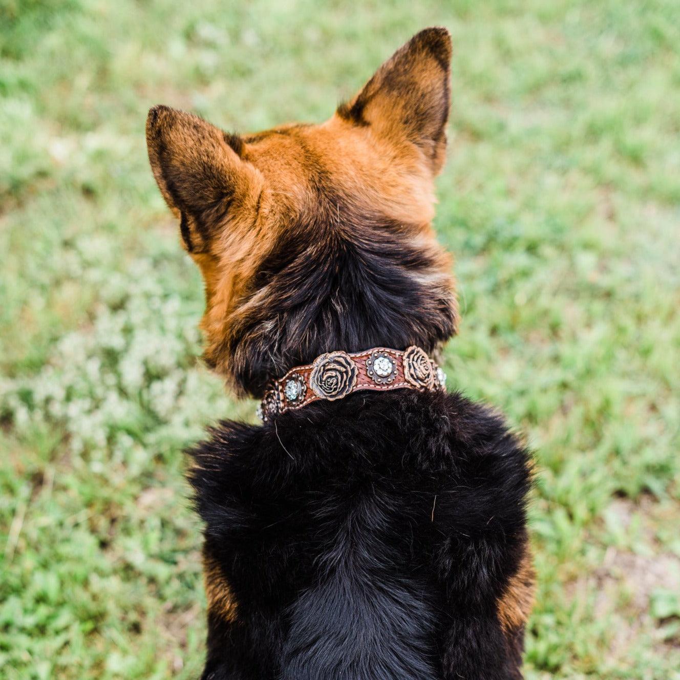 DC30 Genuine Leather Copper Rose Dog Collar With Clear European Crystals — view 2