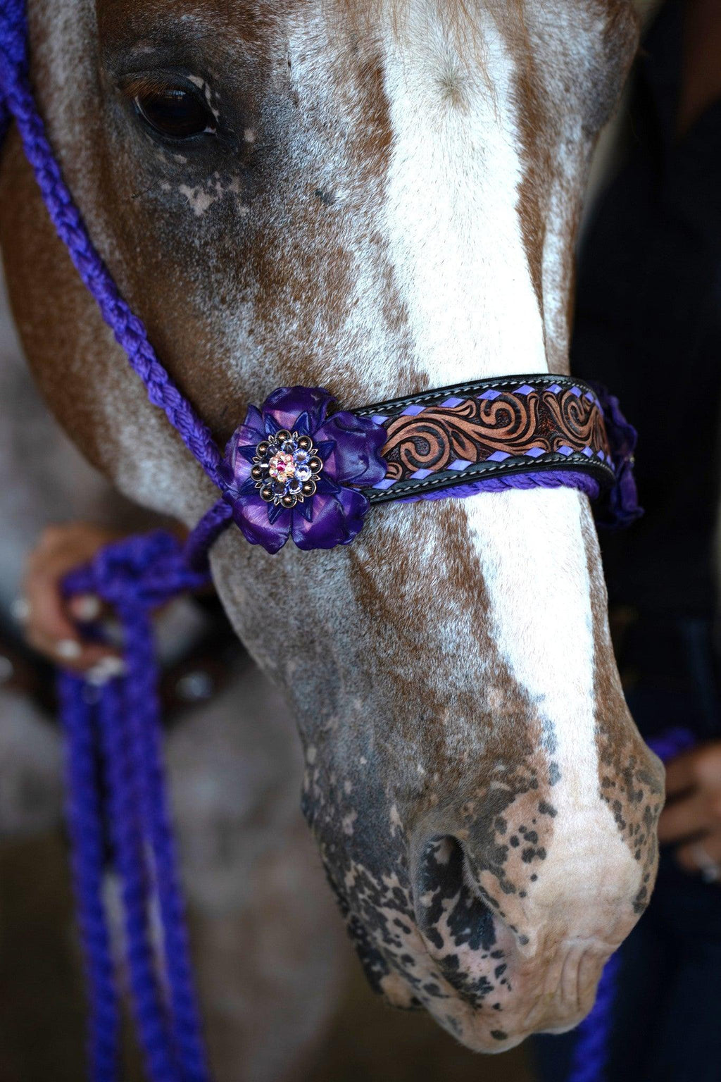 Purple Mule Tape Halter - Purple Gardenia #MT207 — view 2