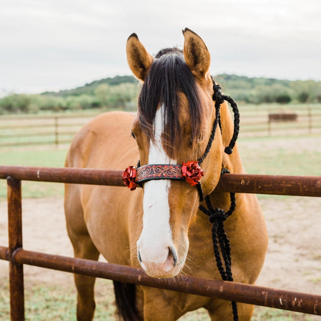 Black Mule Tape Halter - Red Rose #MT200 — view 2