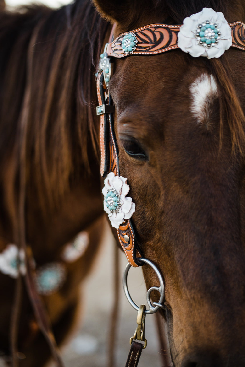 Zebra Turquoise and White Browband / Breastcollar Tack Set #BBBC536 — view 3