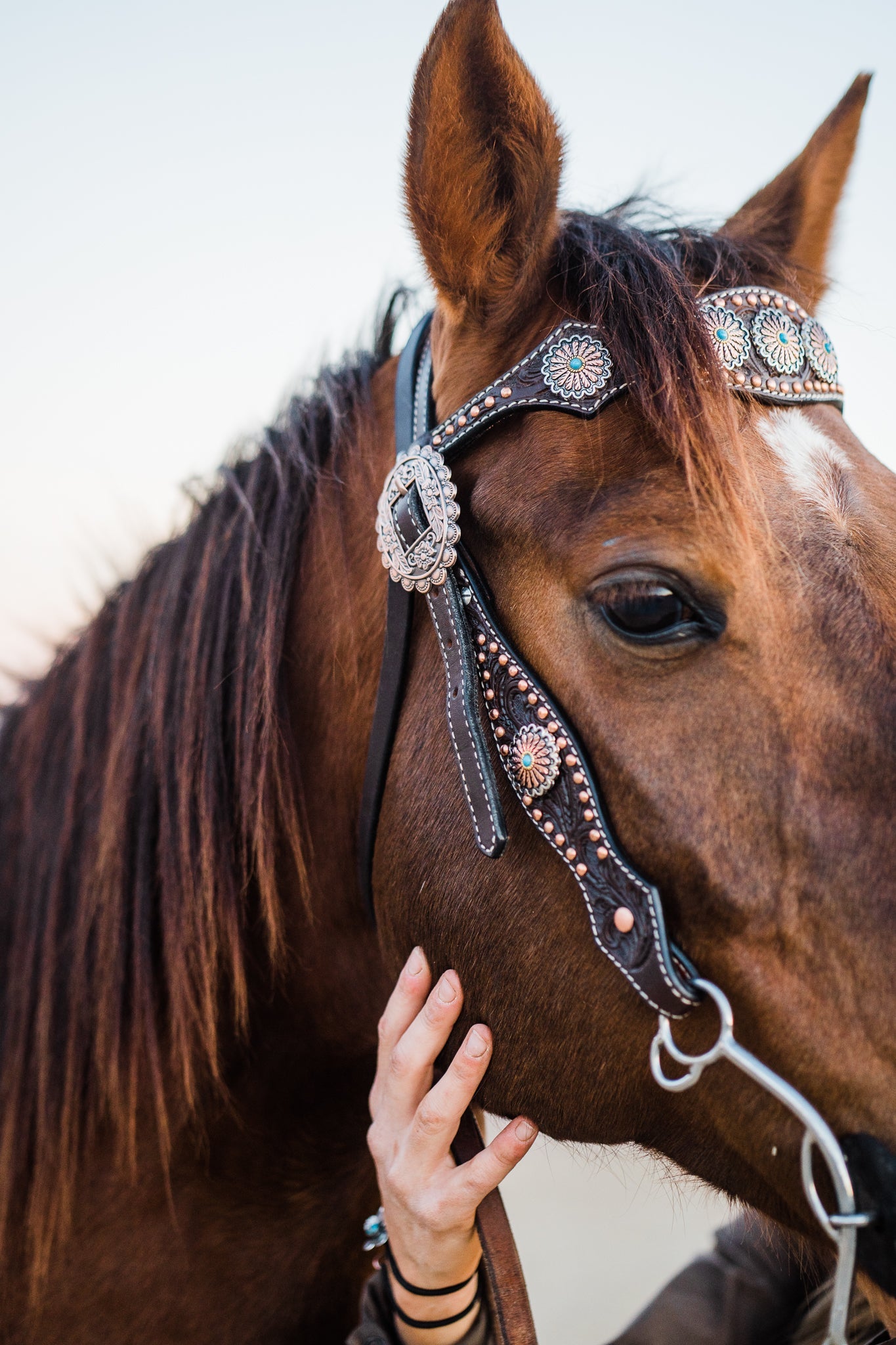 Dark Oil Floral Copper Dot & Turquoise Browband Headstall / Breastcollar Tack Set #BBBC535 — view 2