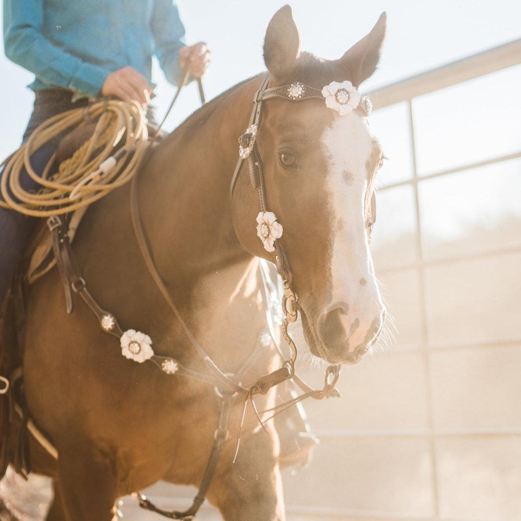 Dark Oil Basketweave White Browband/One Ear Tack Set with Witherstrap #BBBC453 — view 2