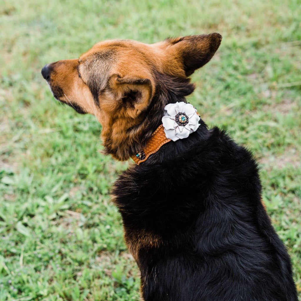 DC23 -Light Oil Genuine Leather Dog Collar - White Flower & Copper Conchos 10"-22" — view 2