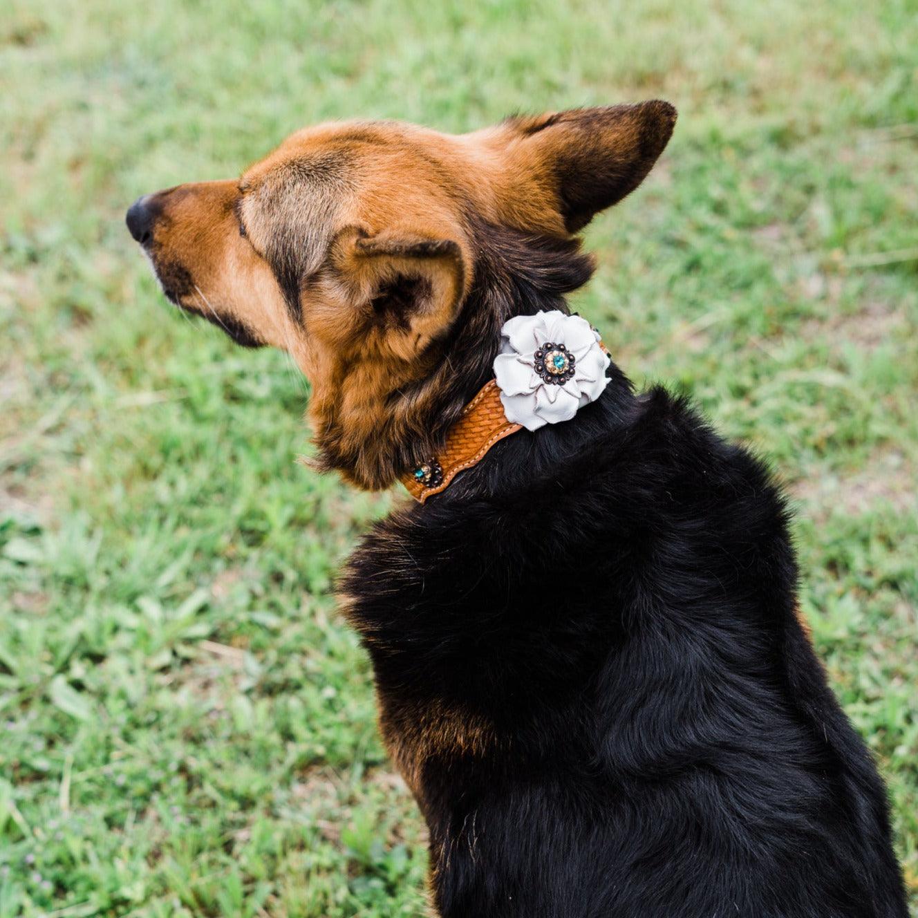 DC23 -Light Oil Genuine Leather Dog Collar - White Flower & Copper Conchos 10"-22" — view 2