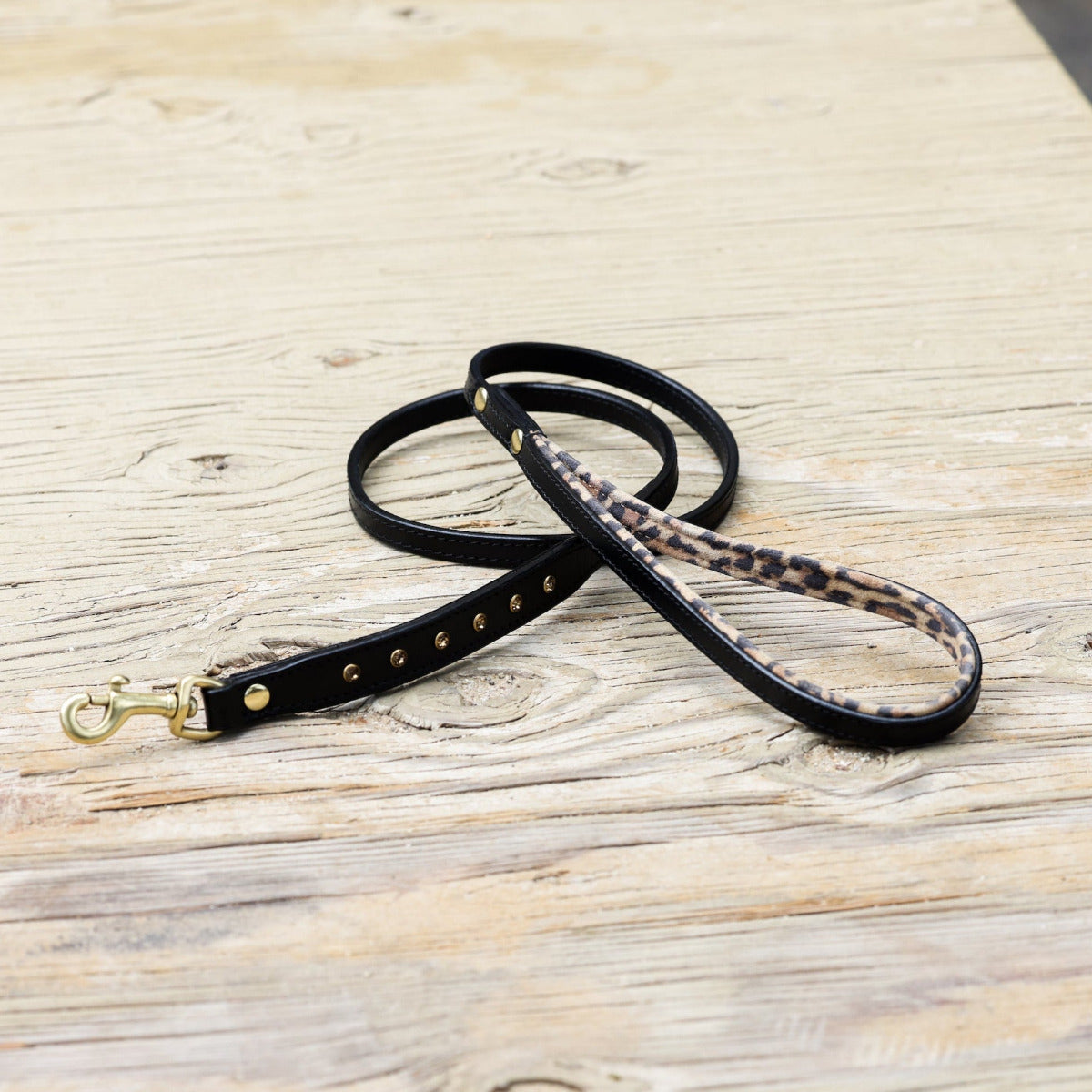 Halter Ego® Black Leather Safari Dog Leash by Halter Ego®