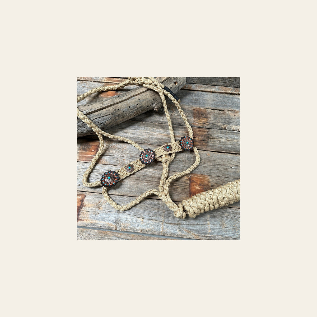 Tan and Turquoise Mule Tape Halter - #MT116 on a warm cream background