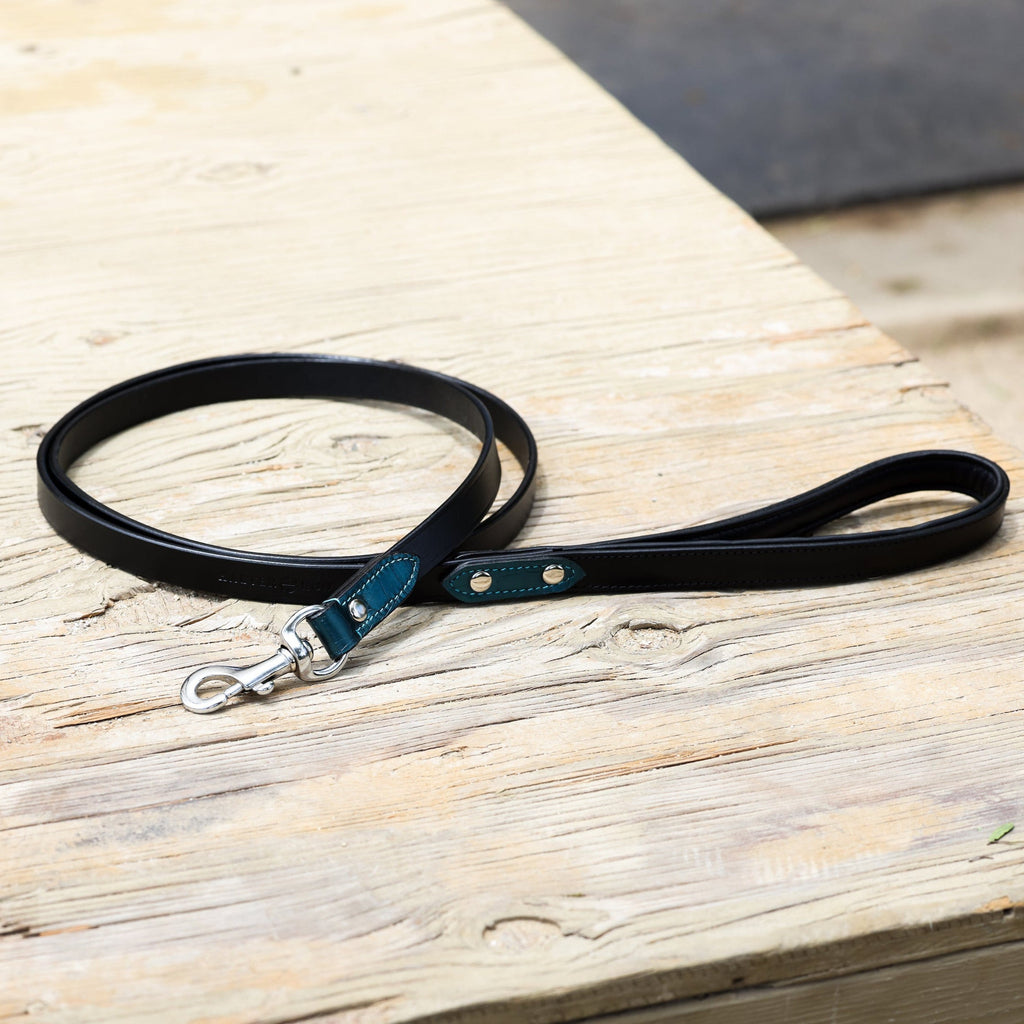 Halter Ego® Metallic Teal Croc Leather Dog Collar by Halter Ego® - product image 3