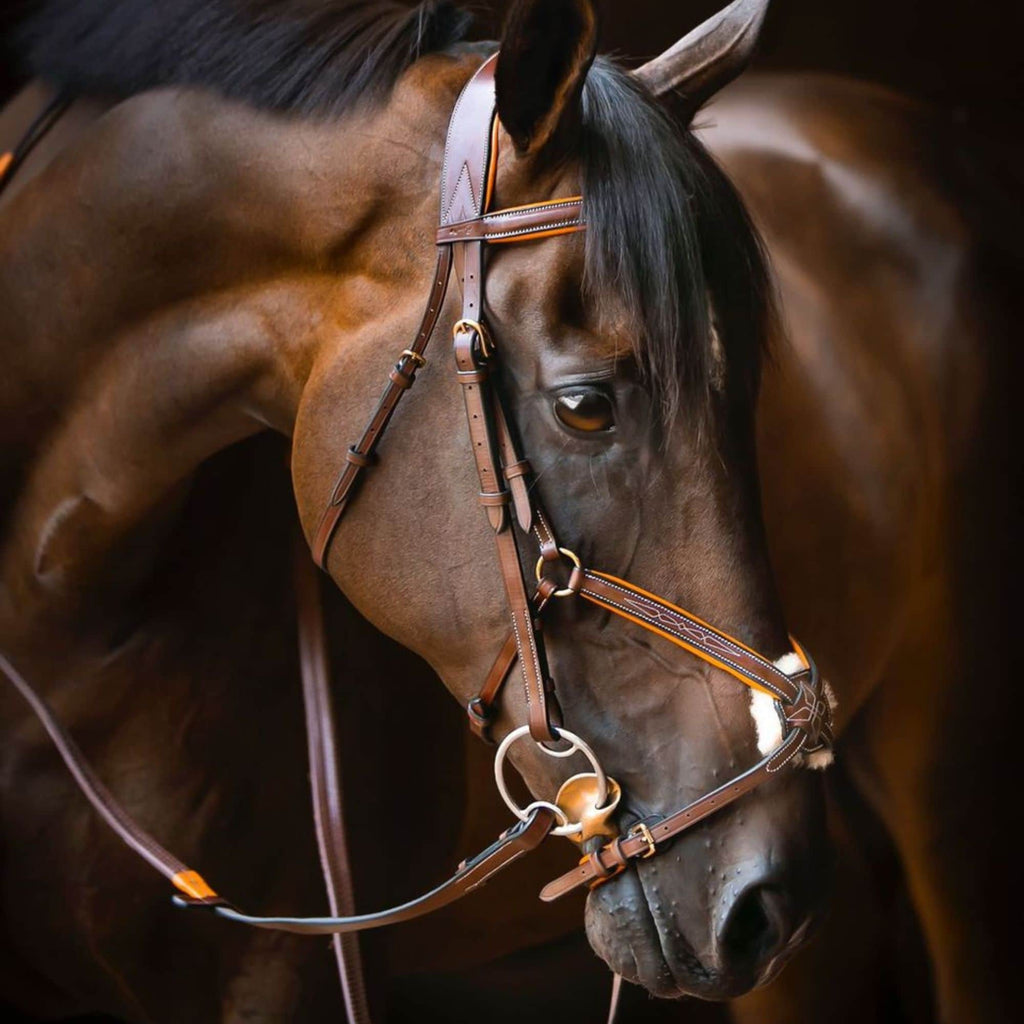 ExionPro 'Vela' Figure 8 Jumping Bridle with Reins by Bridles & Reins - alternate view 9