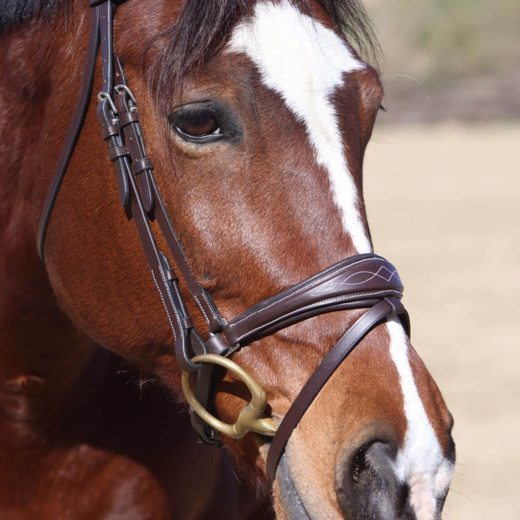 ExionPro Anatomical Dressage Bridle with Reins by Bridles & Reins