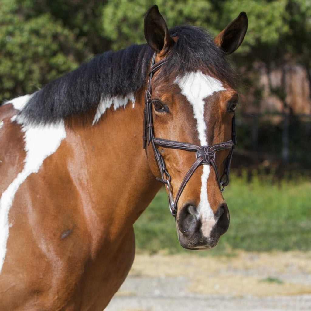 ExionPro Designer Fancy Stitched Figure 8 English Bridle With Rubber Reins by Bridles & Reins