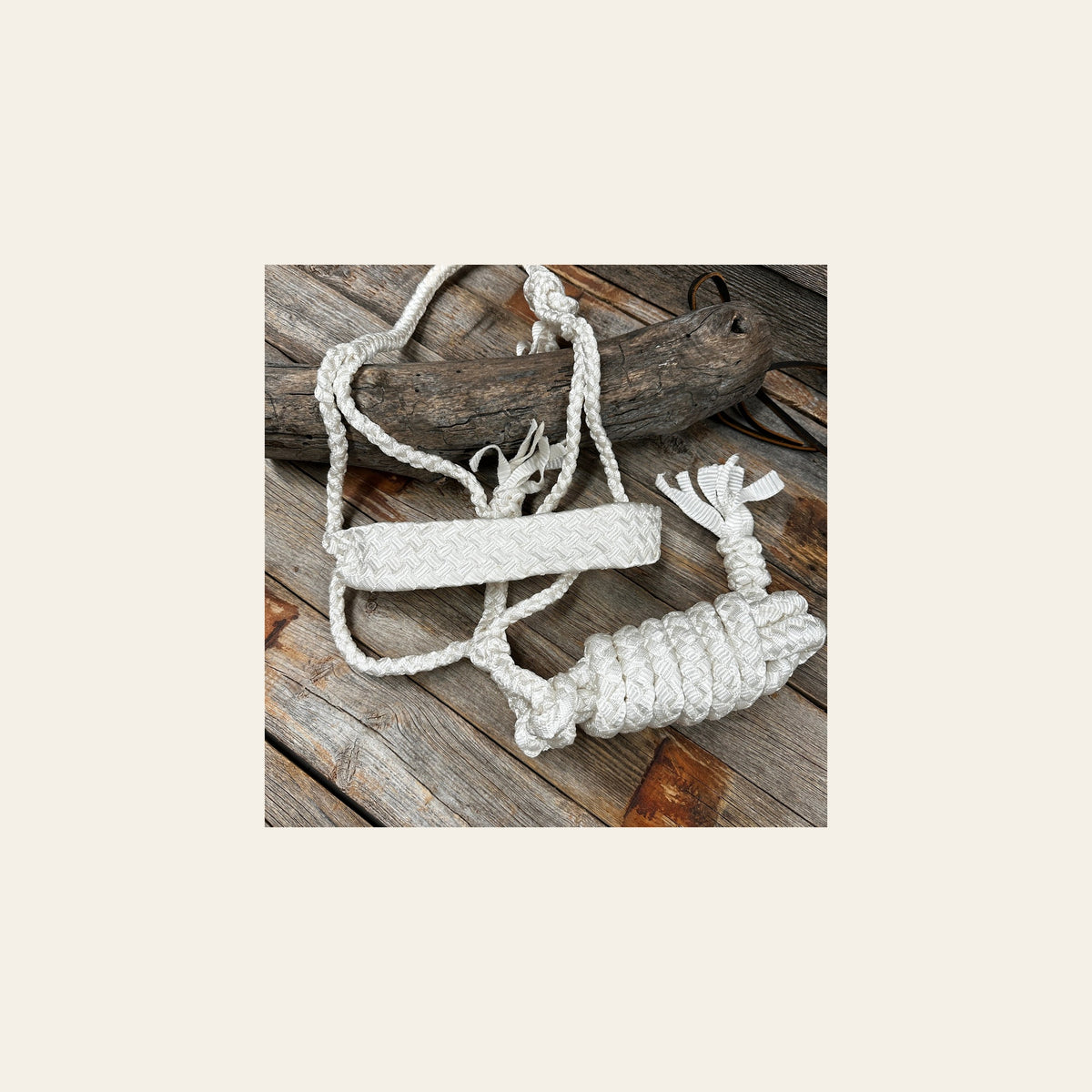 White Flat Braided Mule Tape Halter on a warm cream background