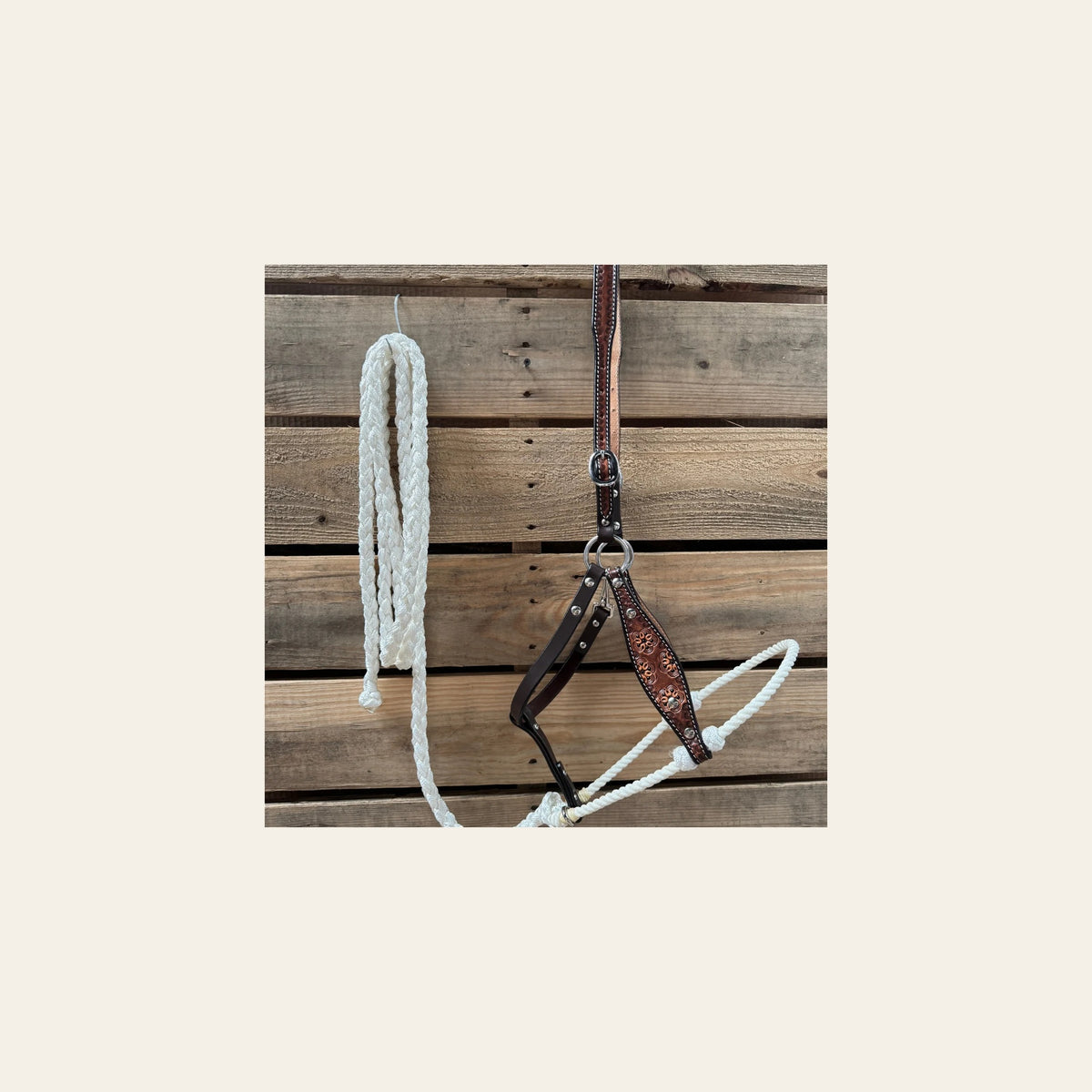 White Flower Power Tooled Lariat & Leather Combo Halter on a warm cream background