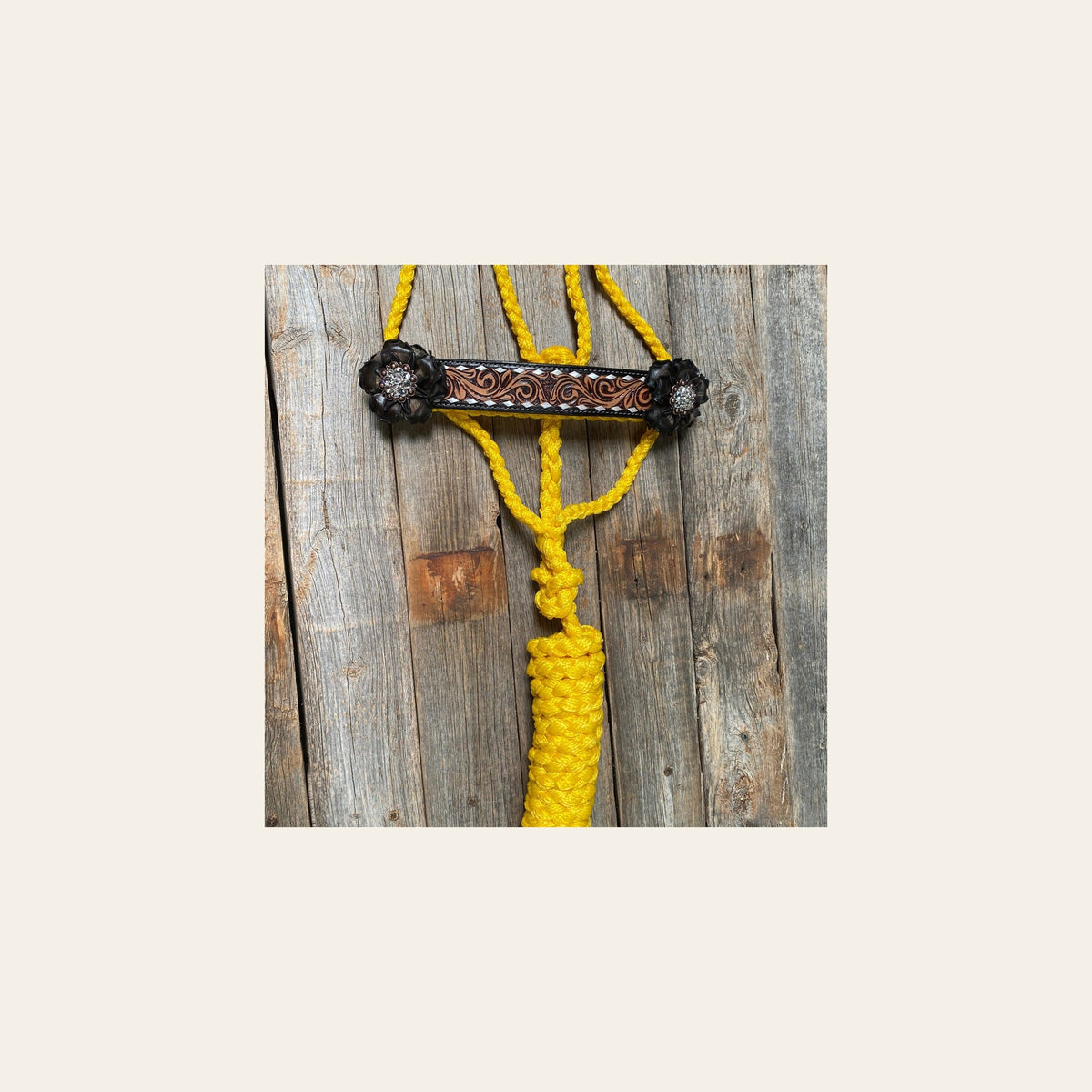 Yellow Mule Tape Halter - Black and Clear #MT201 on a warm cream background