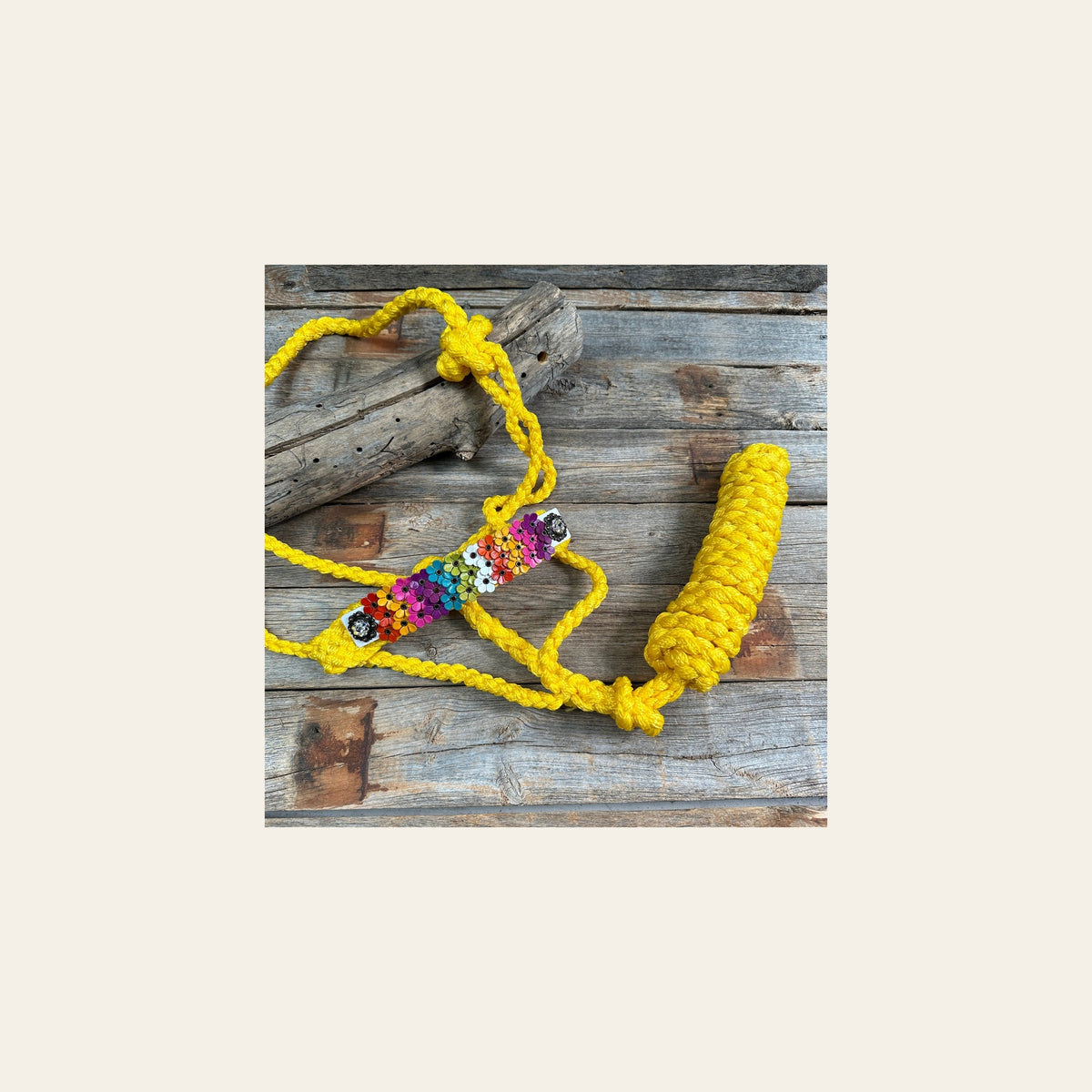Yellow Mule Tape Halter - Multi Floral and Clear #MT229 on a warm cream background