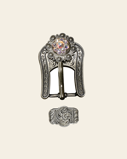 AB Antique Silver European Crystal Buckle Keeper Set on a warm cream background