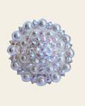 AB Bright Silver Berry Jacket European Crystal Concho on a warm cream background