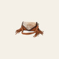 American Darling Crossbody Hair On Genuine Leather Western Women Bag Handbag Purse | for Cute