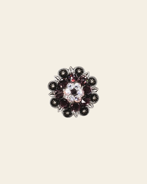 Amethyst & AB Antique Silver 1.25" European Crystal Concho on a warm cream background
