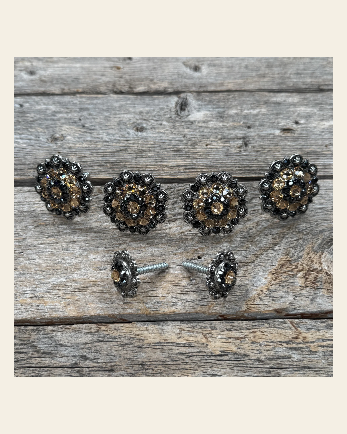 Antique Silver Champagne and Jet Saddle Conchos on a warm cream background
