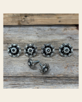 Antique Silver Jet and Clear Saddle Conchos on a warm cream background
