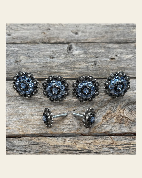 Antique Silver Light Sapphire and Jet Saddle Conchos on a warm cream background