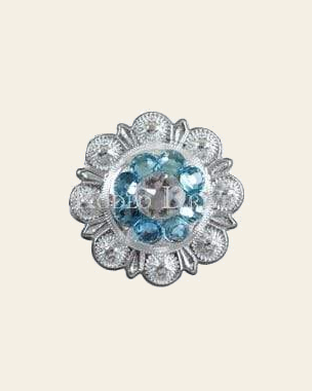 Aqua & Clear Bright Silver 1" European Crystal Concho on a warm cream background