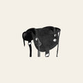 HILASON Western Baretek Bareback Pad Horsemanship Treeless Leather Black | Saddle Riding for Horses