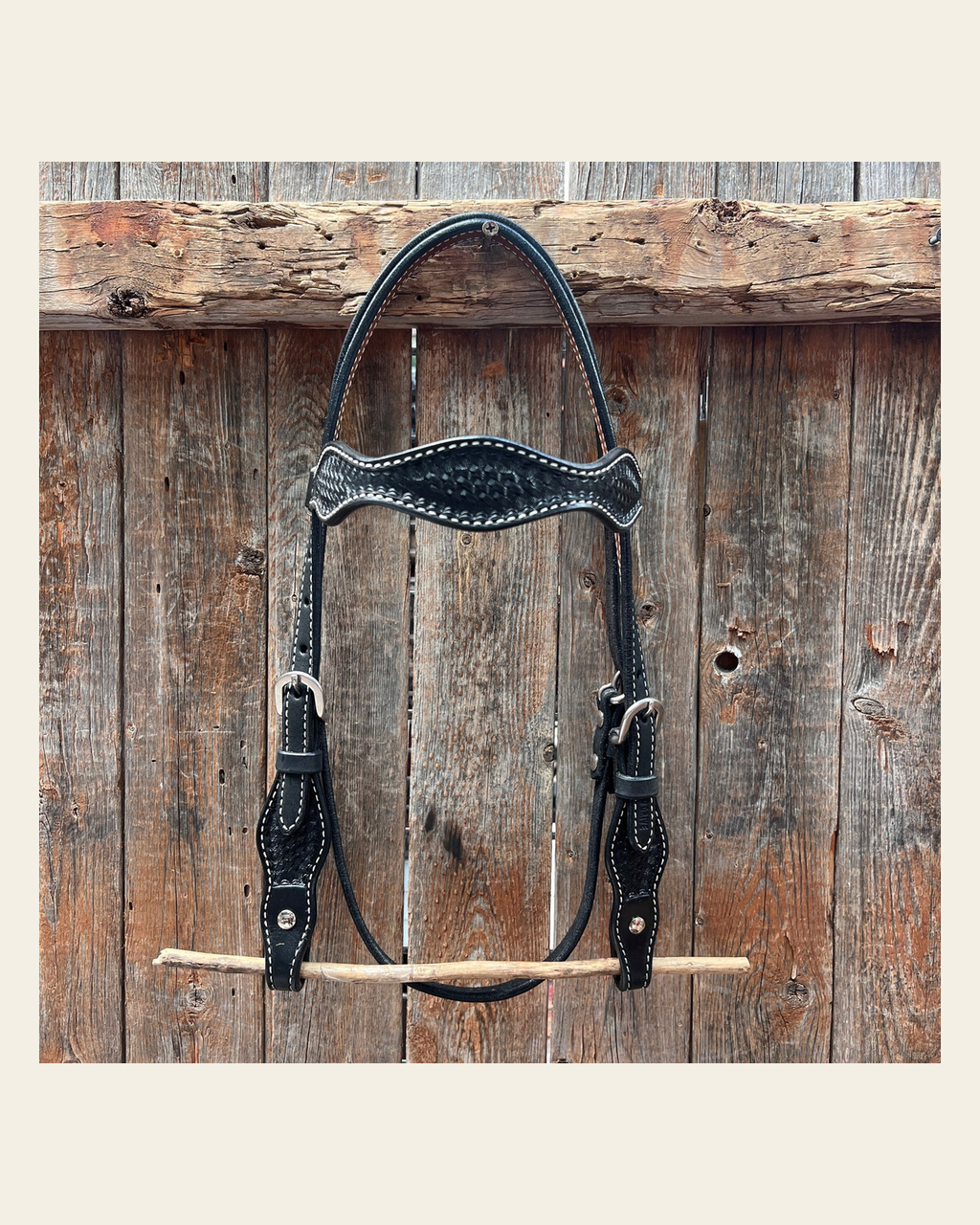 Black Cob - Gag Browband Headstall / Bridle- Short Cheeks on a warm cream background